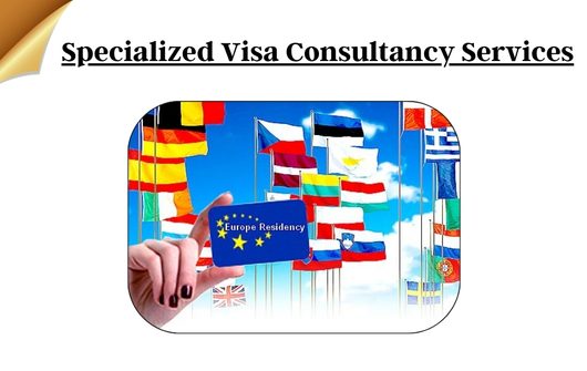 Specialized Visa Consultancy Services