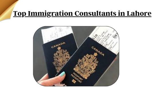 Top Immigration Consultants in Lahore