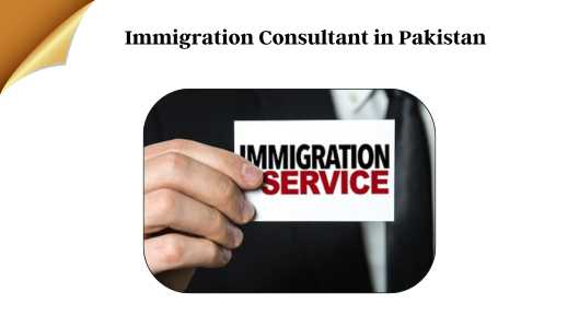 Immigration Consultant in Pakistan