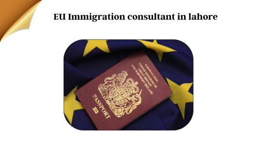 EU Immigration Consultant in Lahore