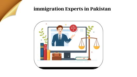 Immigration Experts in Pakistan