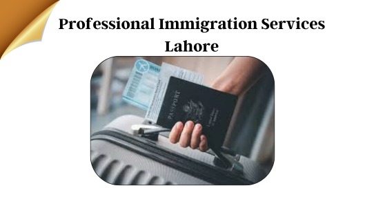 Professional Immigration Services in Lahore